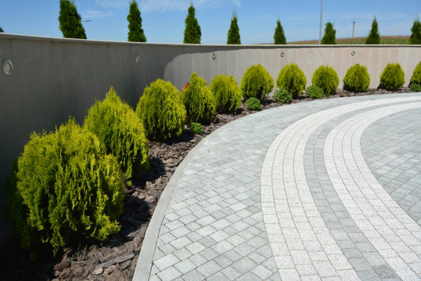 Reasons to Select Us for Your Driveway Paving Requirements in Troy, PA